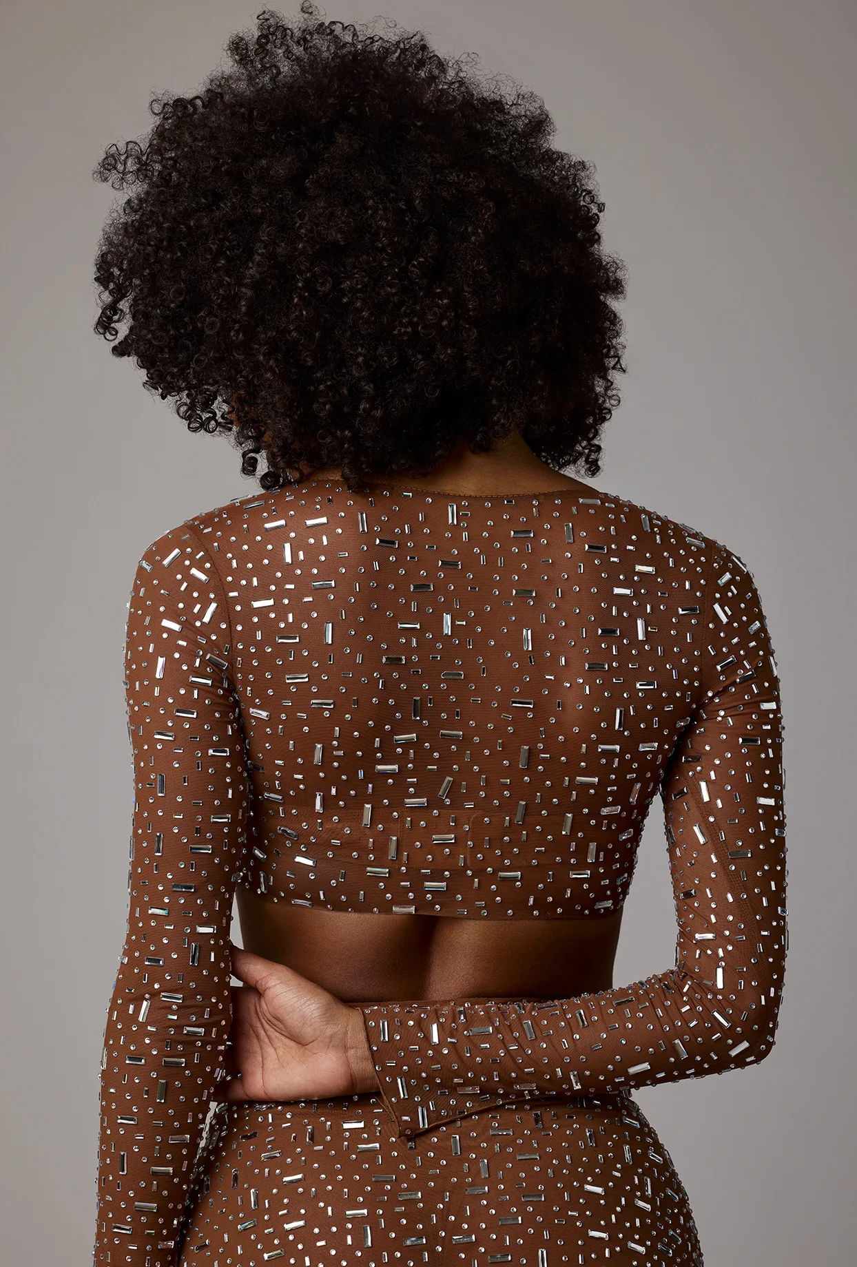 Sheer Embellished Long Sleeve Crop Top in Mocha - Image 2